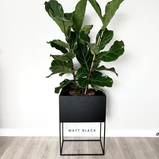 Ava Planter