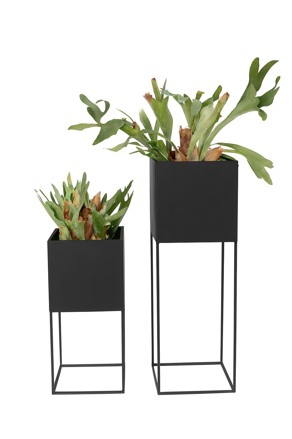 Lilly & Grace Planter Set
