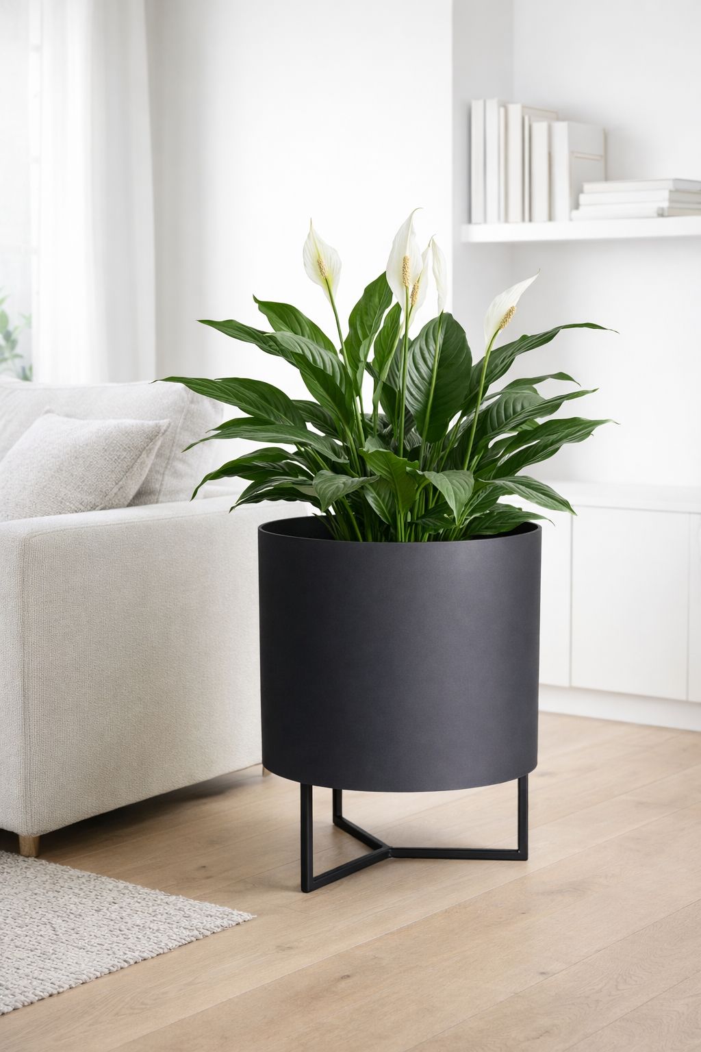Helio Planter